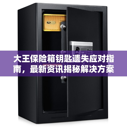 大王保险箱钥匙遗失应对指南，最新资讯揭秘解决方案