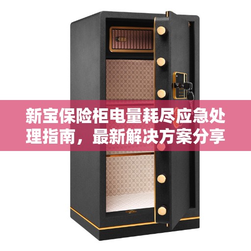 新宝保险柜电量耗尽应急处理指南，最新解决方案分享