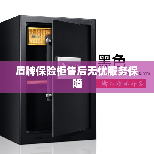盾牌保险柜售后无忧服务保障