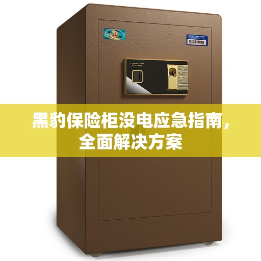 黑豹保险柜没电应急指南，全面解决方案