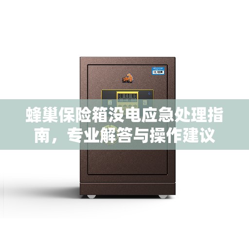 蜂巢保险箱没电应急处理指南，专业解答与操作建议