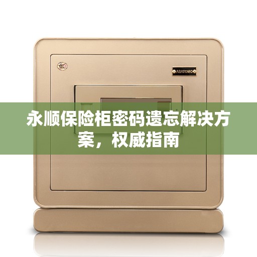 永顺保险柜密码遗忘解决方案，权威指南