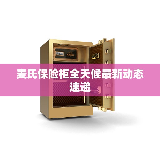 麦氏保险柜全天候最新动态速递