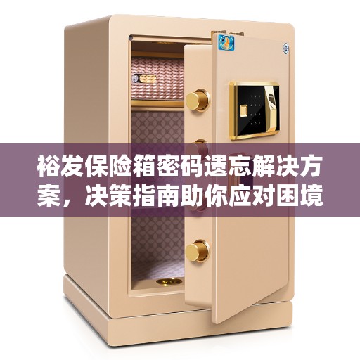 裕发保险箱密码遗忘解决方案，决策指南助你应对困境