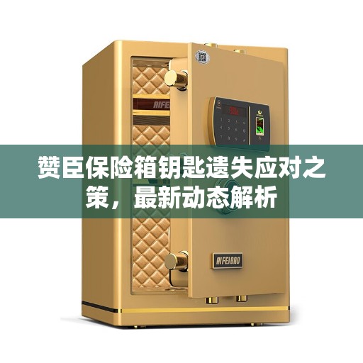 赞臣保险箱钥匙遗失应对之策，最新动态解析