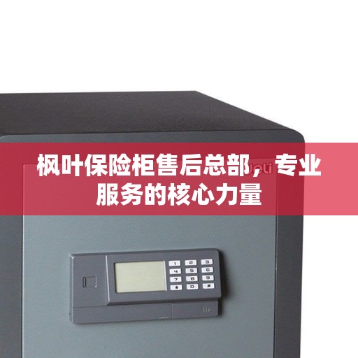 枫叶保险柜售后总部，专业服务的核心力量
