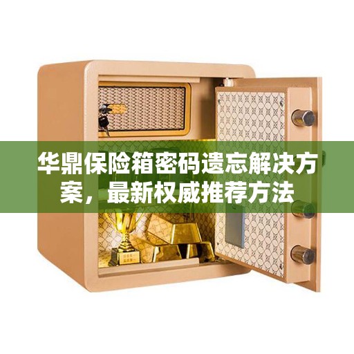 华鼎保险箱密码遗忘解决方案，最新权威推荐方法