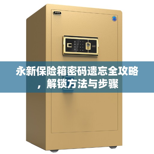 永新保险箱密码遗忘全攻略，解锁方法与步骤