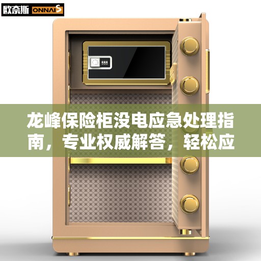 龙峰保险柜没电应急处理指南，专业权威解答，轻松应对突发状况！