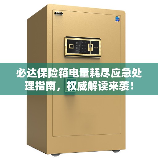 必达保险箱电量耗尽应急处理指南，权威解读来袭！