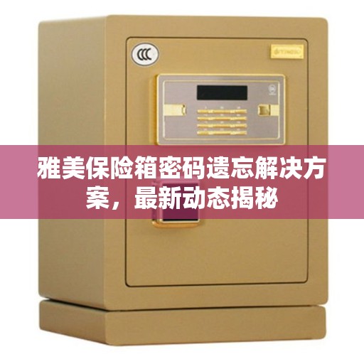 雅美保险箱密码遗忘解决方案，最新动态揭秘