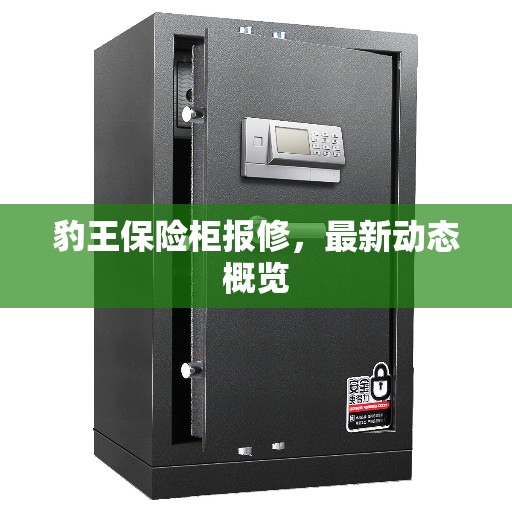 豹王保险柜报修，最新动态概览