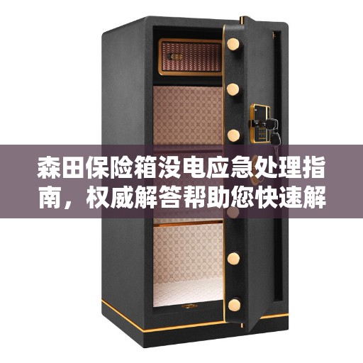 森田保险箱没电应急处理指南，权威解答帮助您快速解决问题！