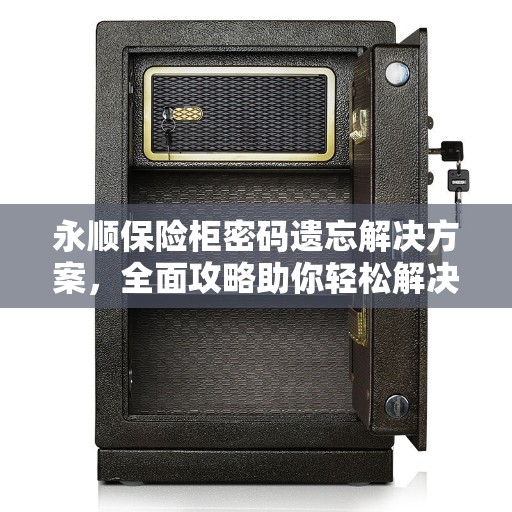 永顺保险柜密码遗忘解决方案，全面攻略助你轻松解决