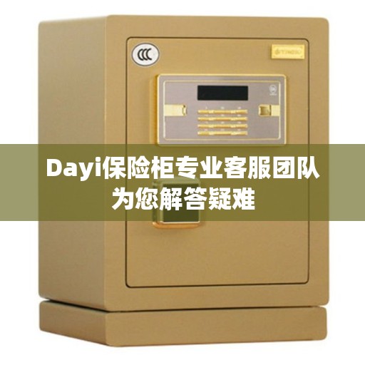 Dayi保险柜专业客服团队为您解答疑难