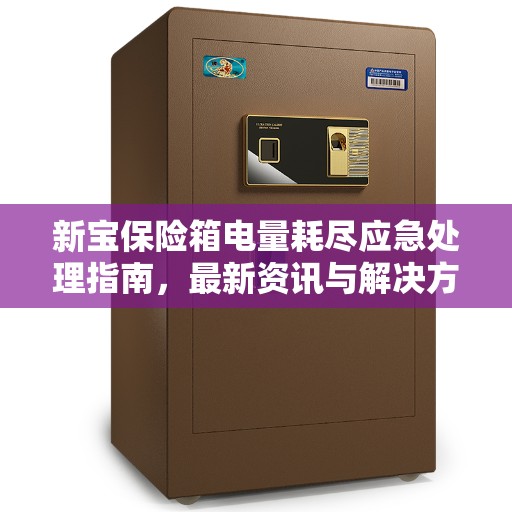新宝保险箱电量耗尽应急处理指南，最新资讯与解决方案