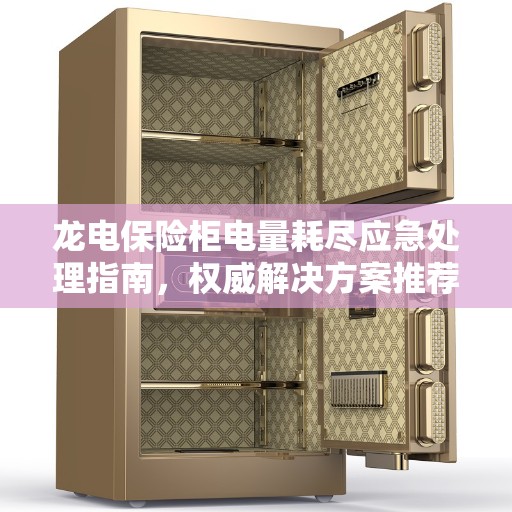 龙电保险柜电量耗尽应急处理指南，权威解决方案推荐