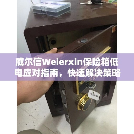 威尔信Weierxin保险箱低电应对指南，快速解决策略与决策指南