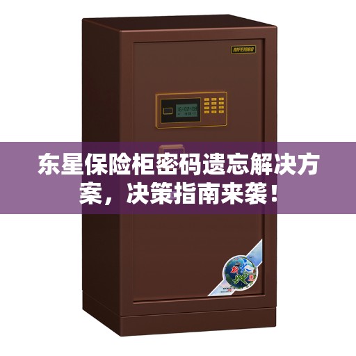 东星保险柜密码遗忘解决方案，决策指南来袭！
