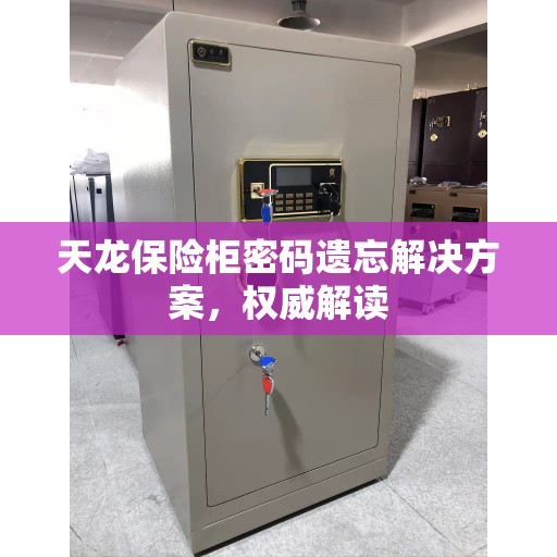 天龙保险柜密码遗忘解决方案，权威解读