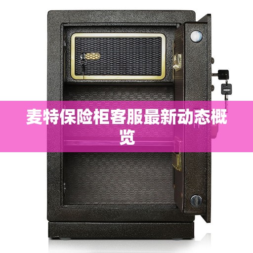 麦特保险柜客服最新动态概览