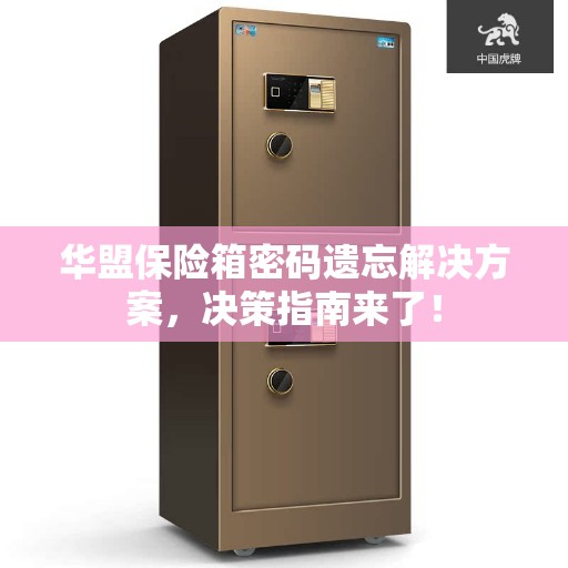 华盟保险箱密码遗忘解决方案，决策指南来了！