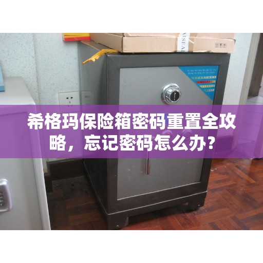 希格玛保险箱密码重置全攻略，忘记密码怎么办？