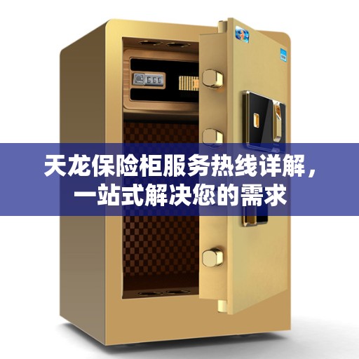 天龙保险柜服务热线详解，一站式解决您的需求