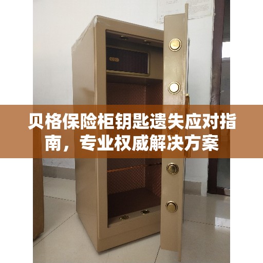 贝格保险柜钥匙遗失应对指南，专业权威解决方案