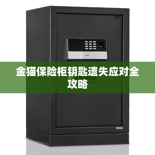 金猫保险柜钥匙遗失应对全攻略