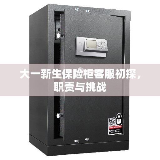 大一新生保险柜客服初探，职责与挑战