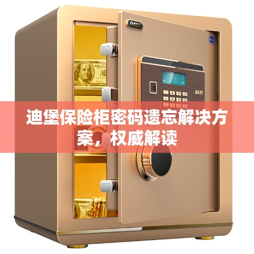 迪堡保险柜密码遗忘解决方案，权威解读