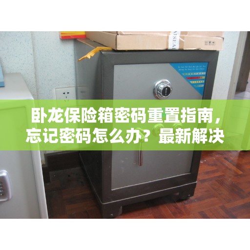 卧龙保险箱密码重置指南，忘记密码怎么办？最新解决方案速递