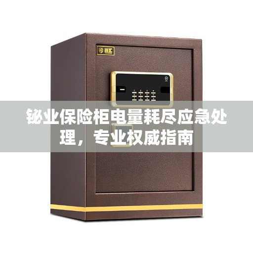 铋业保险柜电量耗尽应急处理，专业权威指南