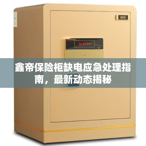 鑫帝保险柜缺电应急处理指南，最新动态揭秘