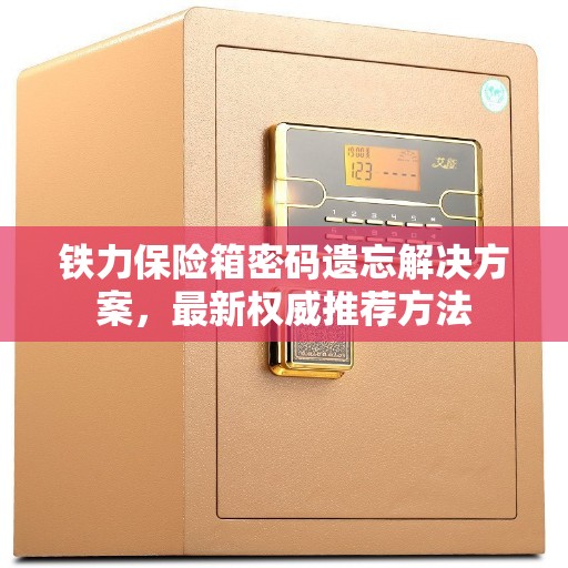 铁力保险箱密码遗忘解决方案，最新权威推荐方法