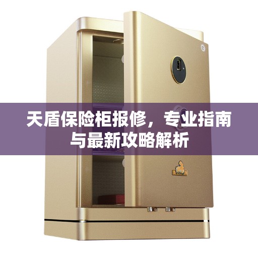 天盾保险柜报修，专业指南与最新攻略解析
