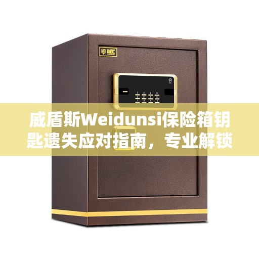 威盾斯Weidunsi保险箱钥匙遗失应对指南，专业解锁方法与建议