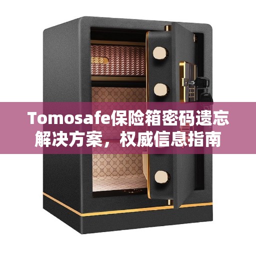 Tomosafe保险箱密码遗忘解决方案，权威信息指南