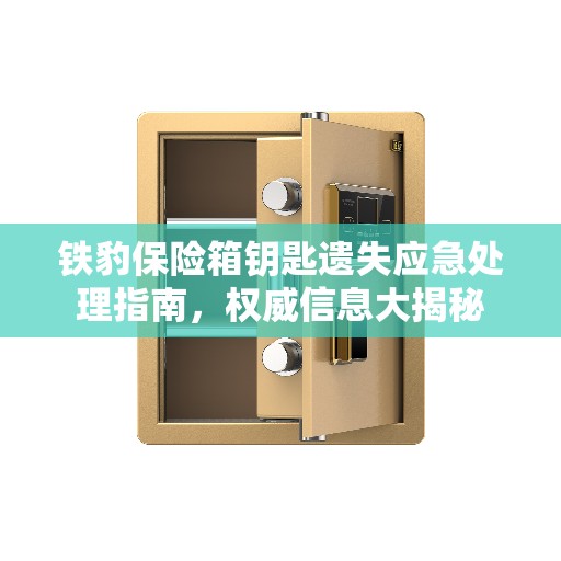 铁豹保险箱钥匙遗失应急处理指南，权威信息大揭秘