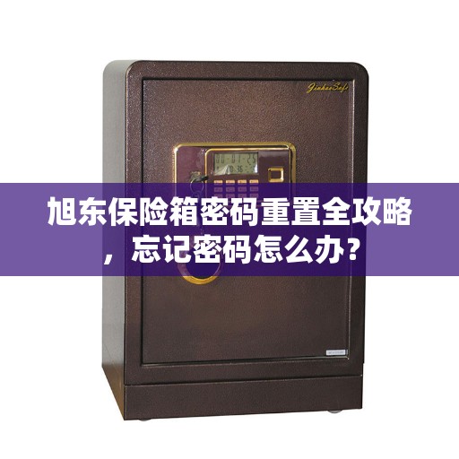 旭东保险箱密码重置全攻略，忘记密码怎么办？