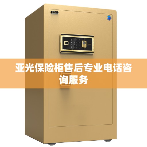 亚光保险柜售后专业电话咨询服务