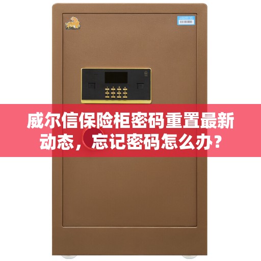 威尔信保险柜密码重置最新动态，忘记密码怎么办？