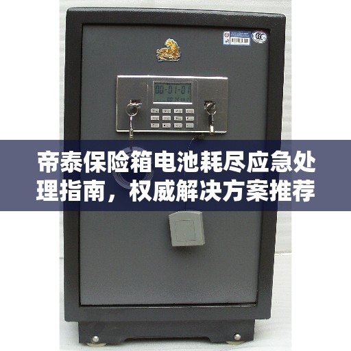 帝泰保险箱电池耗尽应急处理指南，权威解决方案推荐