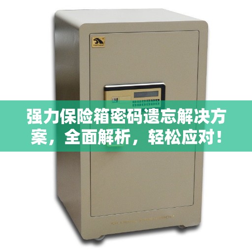 强力保险箱密码遗忘解决方案，全面解析，轻松应对！