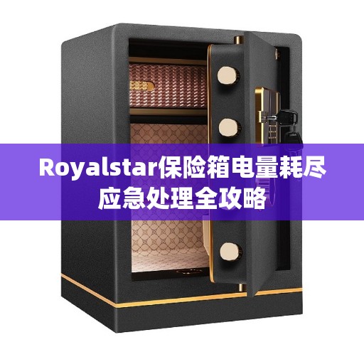 Royalstar保险箱电量耗尽应急处理全攻略