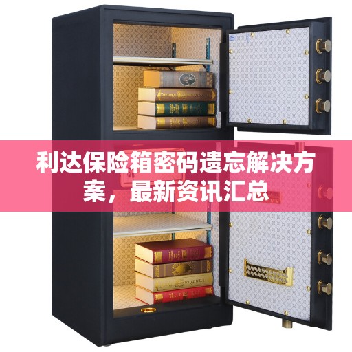 利达保险箱密码遗忘解决方案，最新资讯汇总