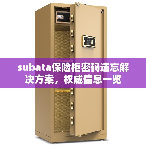 subata保险柜密码遗忘解决方案，权威信息一览