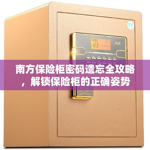 南方保险柜密码遗忘全攻略，解锁保险柜的正确姿势