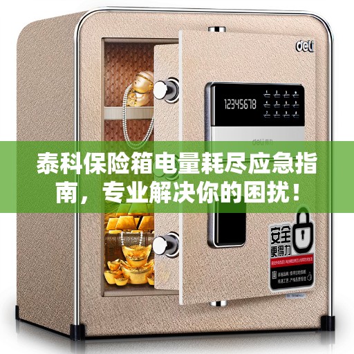 泰科保险箱电量耗尽应急指南，专业解决你的困扰！